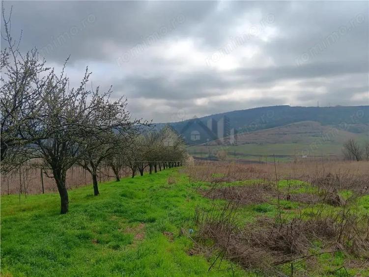 Aroneanu - Dorobant TEREN 46000mp PUZ realizat 59 de case la str principala cu toate utilitatile - 5