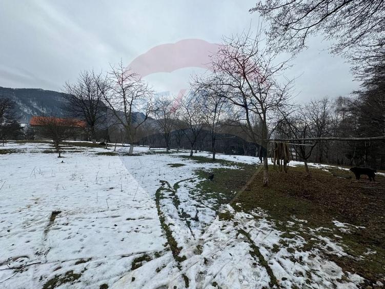 Teren Zarnesti /Bran/Predelut6 Strada Pe tarina - 8