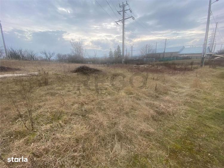 RECO teren Marghita - 4