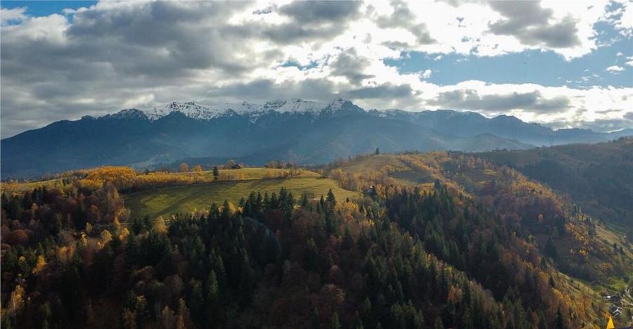 Proprietate autentica, stil traditional:Eco, cu parau pitore - 16