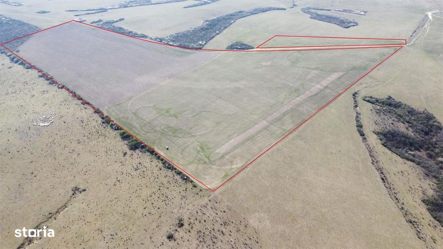 Teren 26.82 ha Ardud | Oportunitate pentru dezvoltare - 1