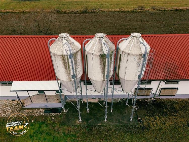 FILM! Ferma de iepuri,Malnas,Covasna: domeniu:industrial/comercial,asset UE - 33