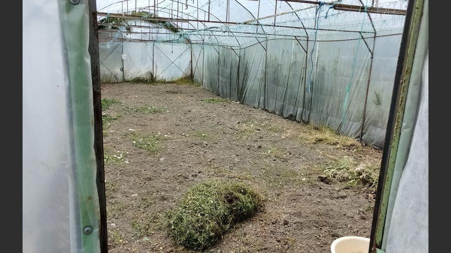 Casă cu gradina 1255mp cu sere, Copaceni , 25km de Cj-N,comision 0% - 20