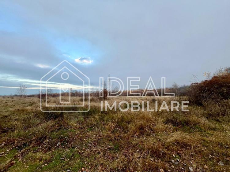 Teren agricol extravilan de 6500 mp, în Cârțișoara