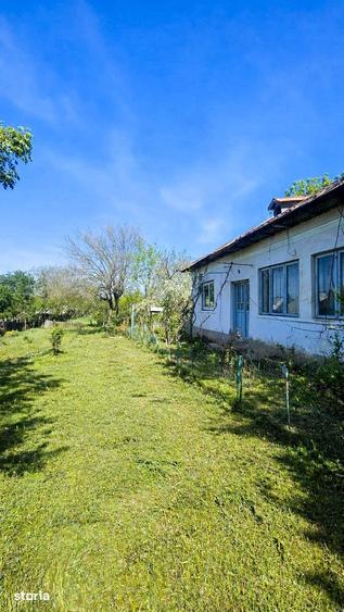 Teren de 1300 mp, în Mischii