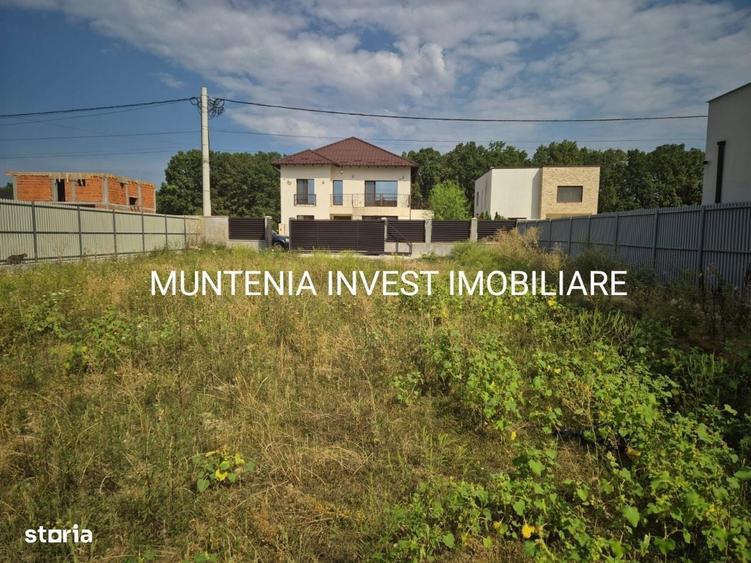 Teren 518 mp. sat Smeura, str.Aleea Bradului - 1