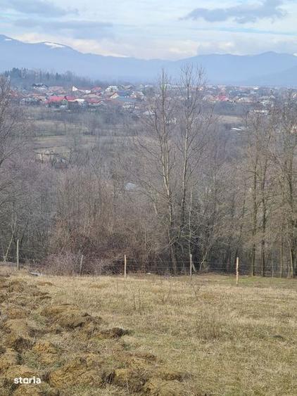 Teren de 4200 mp, în Drajna