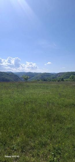 Teren de 10000 mp, în Ghelari