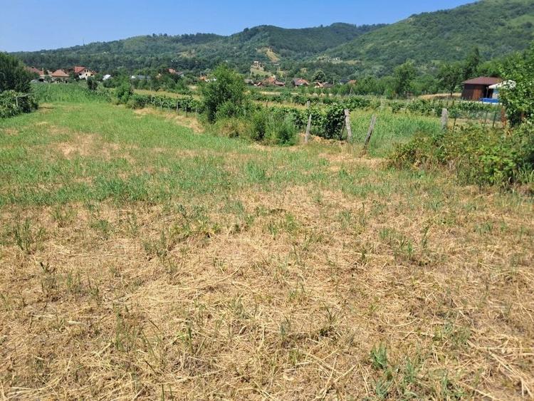 Teren Construcții intravilan de 1300 mp, în Polovragi