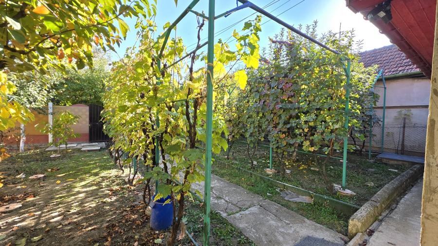 Casă individuală cu 4 camere cu Canalizare în Plopi