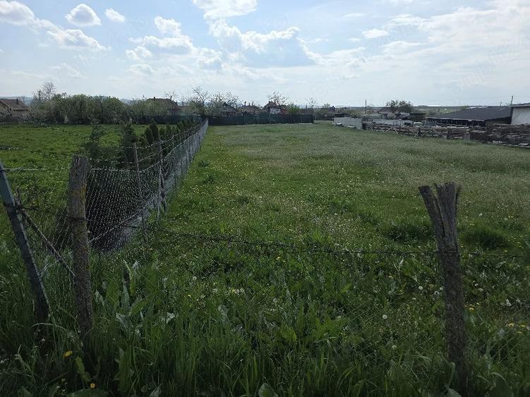 Teren de 1424 mp, în Hădăreni