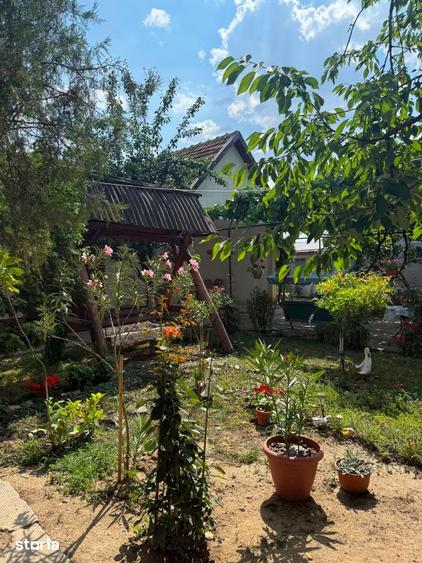Casă cu 7 camere cu Teren 1900 Mp în Central