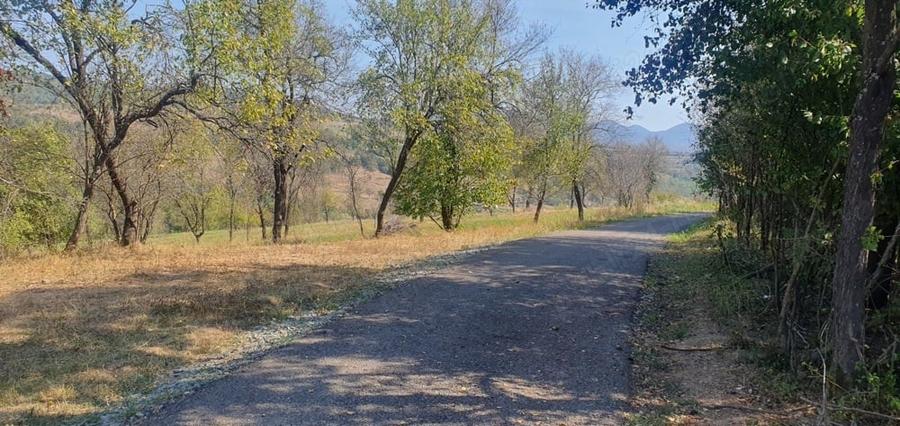 Teren de 4780 mp, în Fornădia