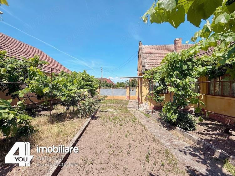 Casă cu 4 camere cu Teren 1459 Mp în Secusigiu