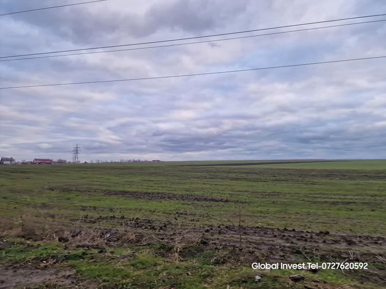 Teren agricol extravilan de 2500 mp, în Corbu