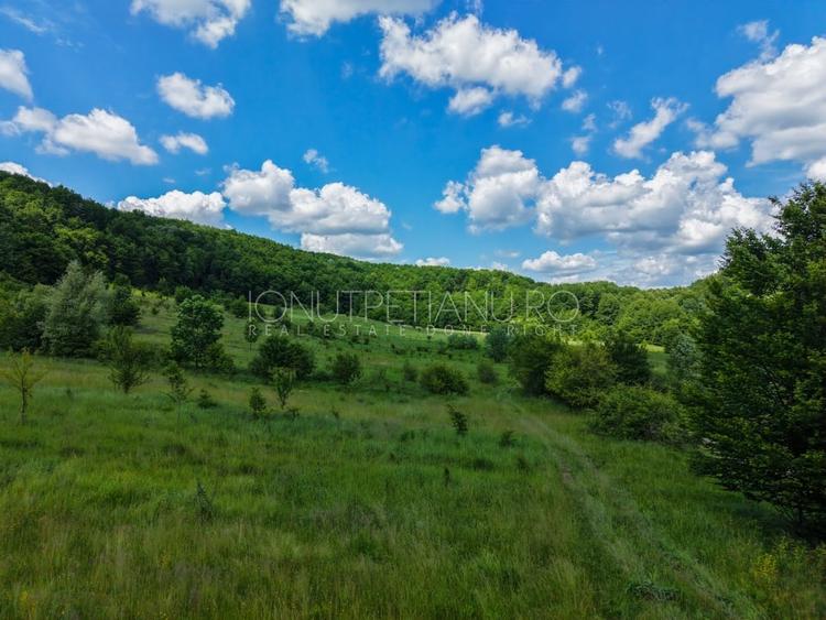 Teren agricol extravilan de 5500 mp, în Valea Mare-Podgoria