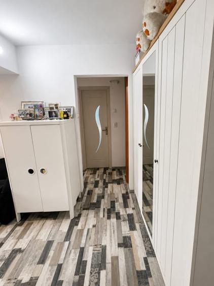 Apartament cu 2 camere decomandat, mobilat în Brazda lui Novac