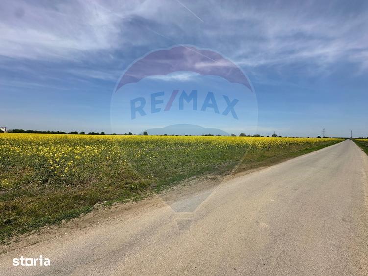 Teren de 545000 mp, în Dragomirești-Vale
