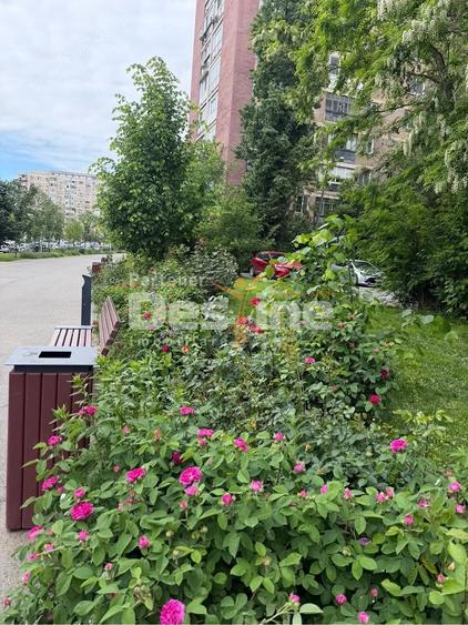 Apartament cu 2 camere decomandat, mobilat în Valea Ialomiței