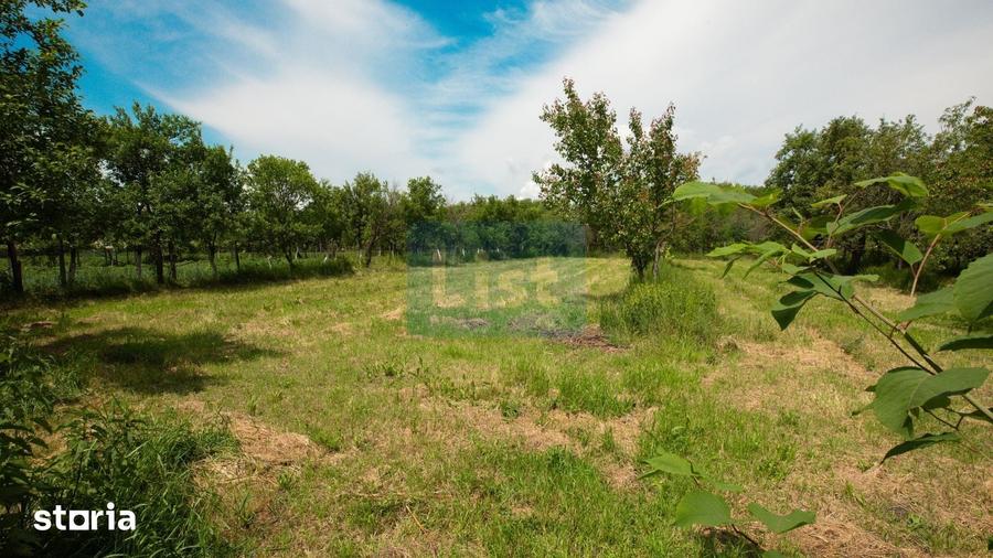 Casă cu 6 camere cu Teren 2900 Mp în Mehadia