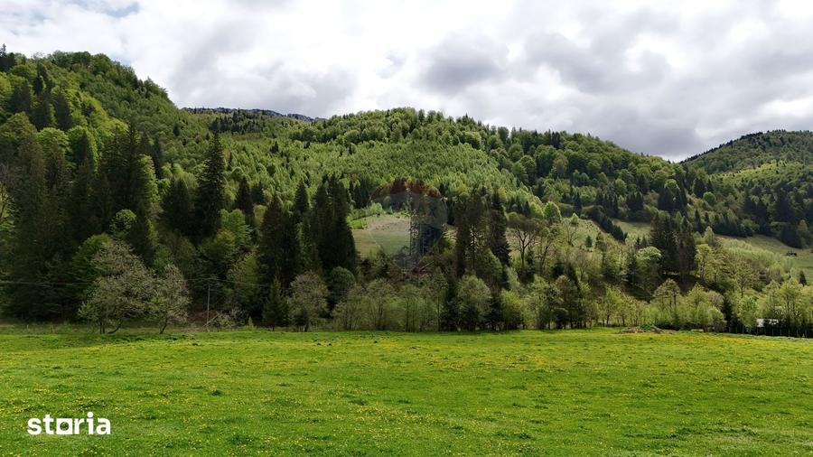 Teren de 48297 mp, în Rucăr