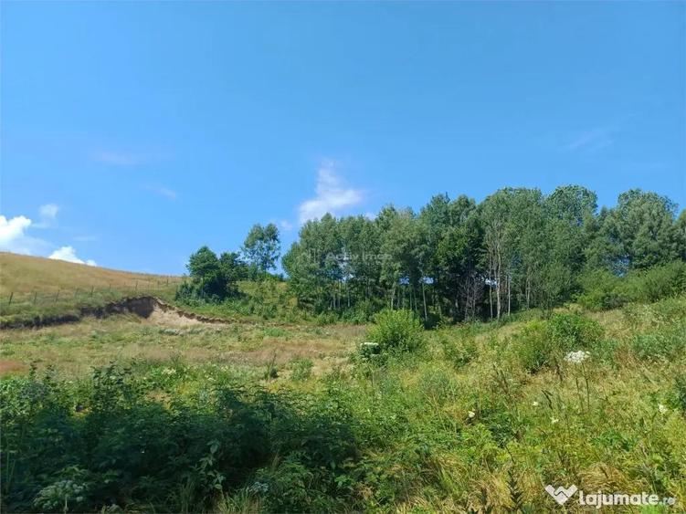 Teren de 4500 mp, în Brebu