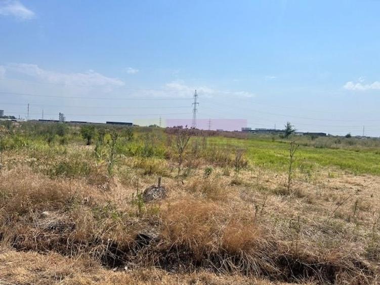 Teren agricol intravilan de 1686 mp, în Domnești