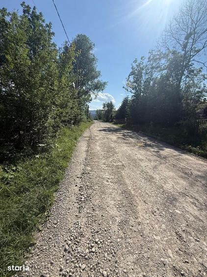 Teren intravilan 1662 mp pozitie superba-Calea Brasovului Valea Neagra - 19