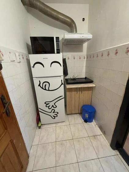 Garsonieră în Buziașului