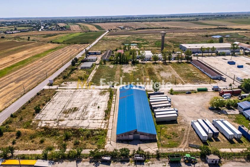 Teren Construcții intravilan de 16000 mp, în Căteasca