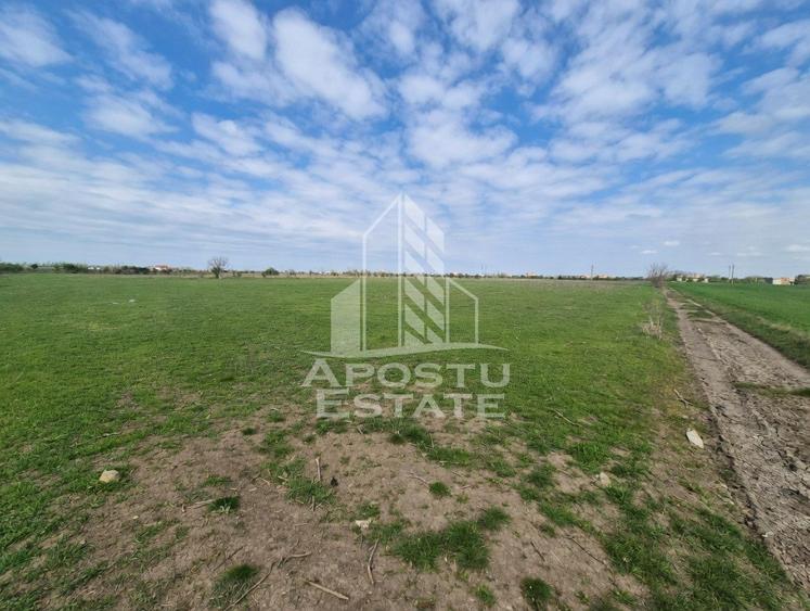 Teren Construcții intravilan de 10900 mp, în Sud