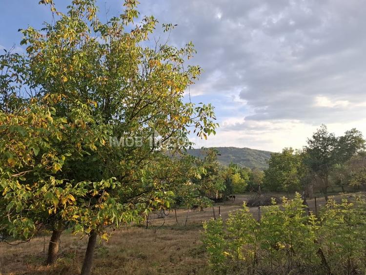 Teren agricol extravilan de 16189 mp, în Șoimari