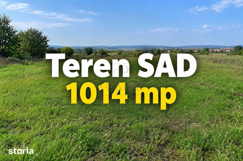 Teren - SAD - Mosnita Veche - 3