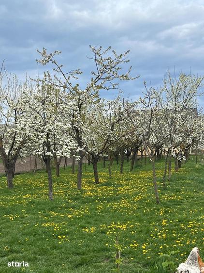 Casă cu 7 camere cu Teren 1783 Mp în Hărman