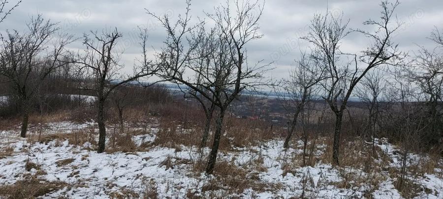 Teren de 1014 mp, în Văleni
