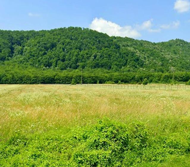 Teren Construcții intravilan de 3000 mp, în Măgureni