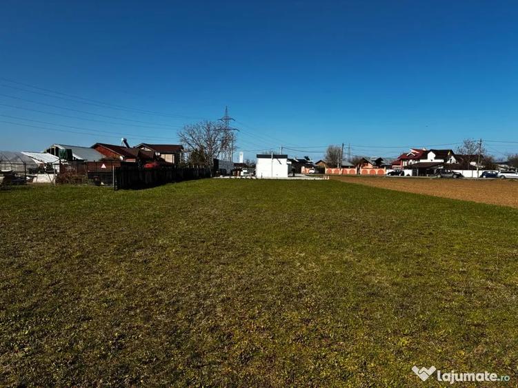 Teren de 3000 mp, în Movila (Niculești)