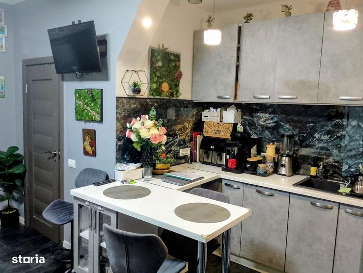 Apartament cu 2 camere în Take Ionescu