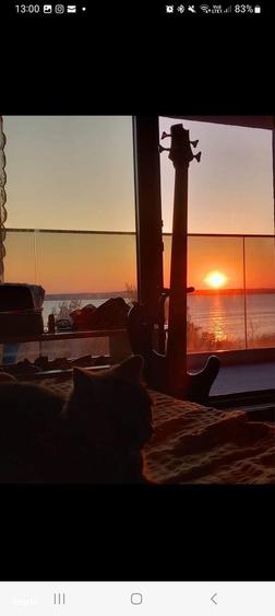 Mamaia-Iaki, apartament 2 camere 60 mp, mobilat frontal la lac, etaj 1 - 1