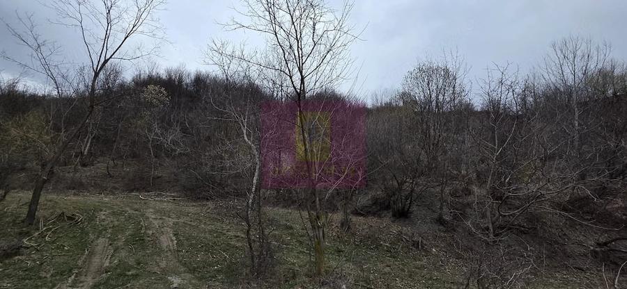 Teren de 1006 mp, în Brebu
