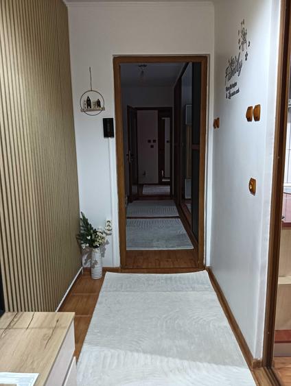 Apartament cu 2 camere decomandat în Rovine