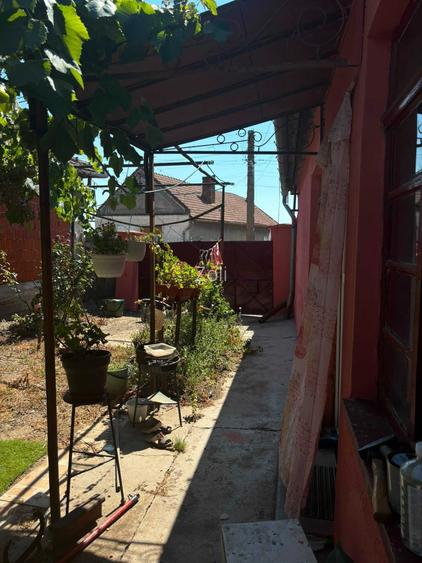 Casa cu teren mare in Diosig