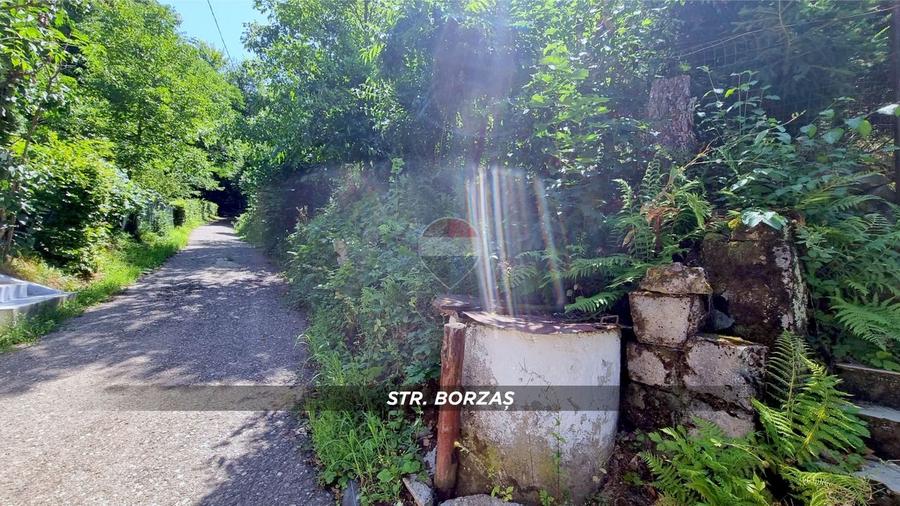 Casă individuală cu 3 camere cu Teren 388 Mp în Valea Borcutului