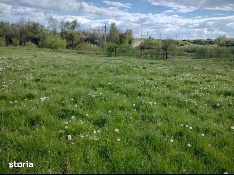 Teren de 1000 mp, în Mărișelu
