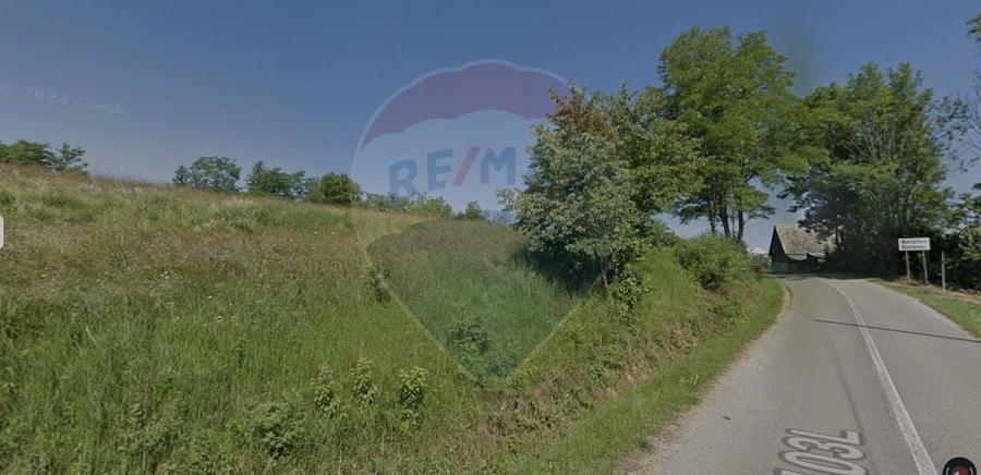 Teren agricol extravilan de 3110 mp, în Mănăstireni