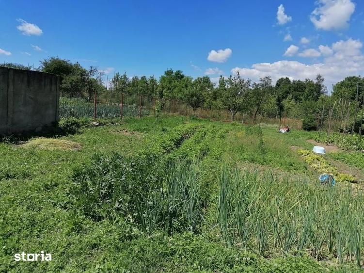 Casă cu 1 camere cu Teren 868 Mp în Arpașu de Jos