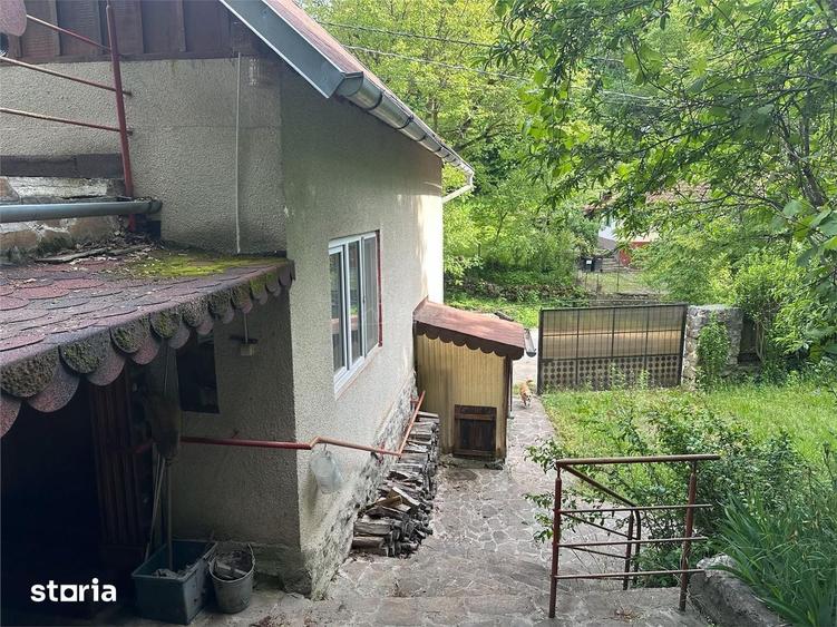 Casa Cocheta de vacanta, Dognecea - 14