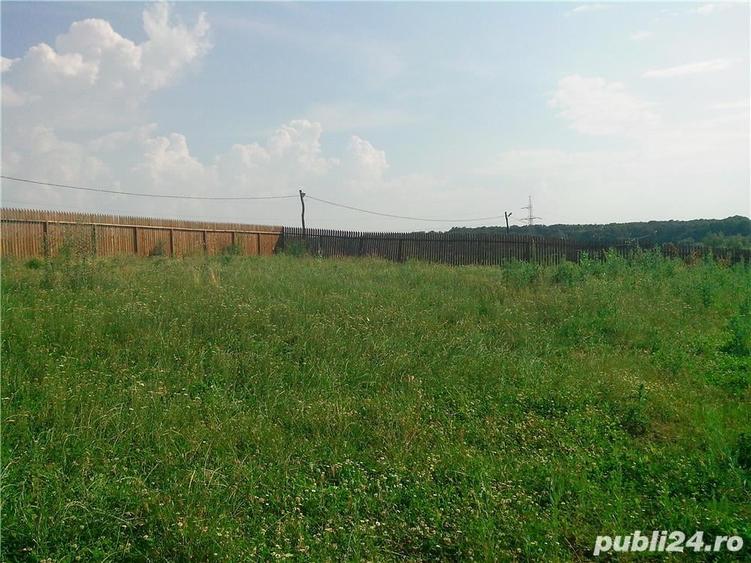 Teren de 900 mp, în Brănești