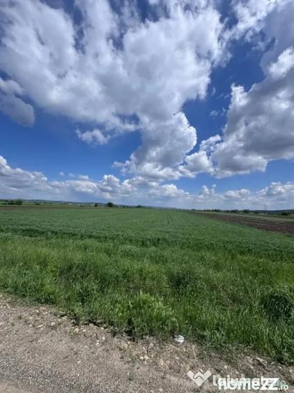 Teren de 10000 mp, în Rădăuți