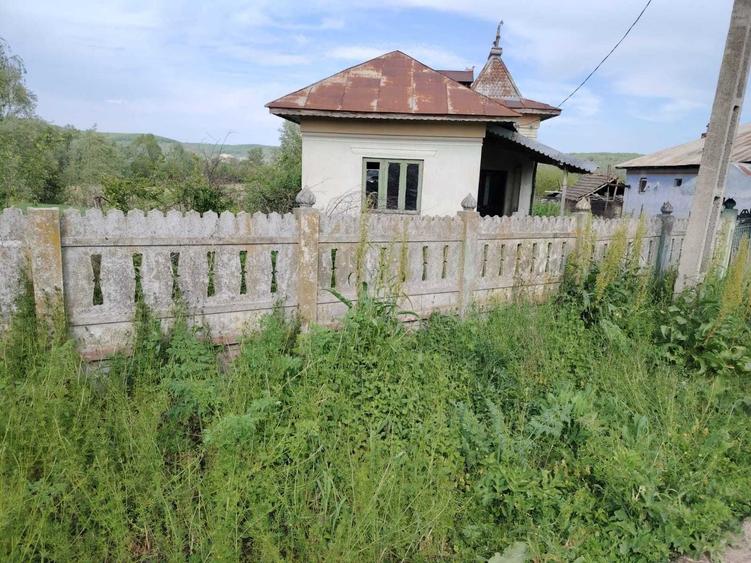 Casă cu 3 camere în Goiești